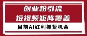 小红书某音创业赛道引流获客 自热矩阵日引200+【揭秘】-大齐资源站