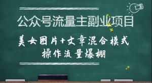 公众号流量主副业项目，美女图片+文章混合模式操作流量爆棚-大齐资源站