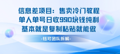 信息差项目：售卖冷门教程单人单号日收9张纯利基本就是复制粘贴就能做-大齐资源站