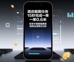 酒店截图任务，15秒完成一单，一单0.6米，任务不限量随便接，矩阵拉满单日3张【揭秘】-大齐资源站