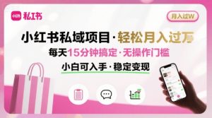 小红书私域项目 月入过W非常轻松 每天15分钟即可搞定，无任何操作门槛，小白可入手-大齐资源站