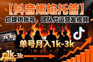 【抖音炬焰托管】你提供账号，团队代运营发视频，单号月入1k+【揭秘】-大齐资源站