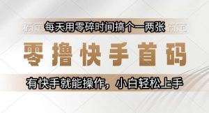 零撸快手首码，每天用零碎时间搞个一两张，有快手就能操作小白轻松上手【揭秘】-大齐资源站