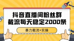 抖音直播间粉丝群暴力截流，一台电脑每天稳定2000条数据【揭秘】-大齐资源站