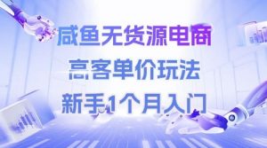 咸鱼无货源电商，高客单价玩法，新手1个月入门-大齐资源站