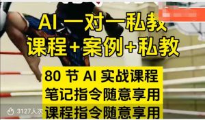 AI指令实战课，课程+案例，80节AI实战课程，笔记指令随意享用，课程指令随意享用（更新7月）-大齐资源站