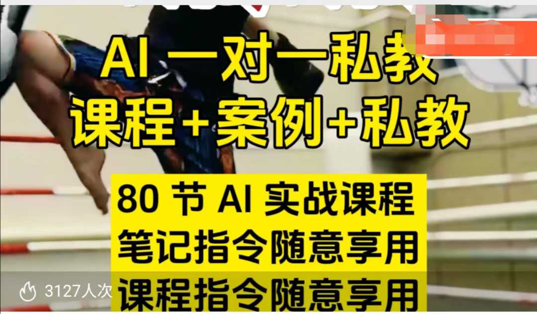 AI指令实战课，课程+案例，80节AI实战课程，笔记指令随意享用，课程指令随意享用（更新7月）-大齐资源站