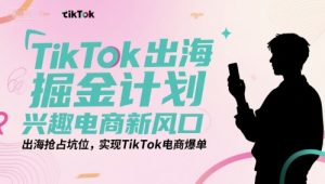 TikTok出海掘金计划,兴趣电商新风口,出海抢占坑位,实现TikTok电商爆单-大齐资源站