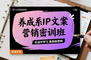 养成系IP文案营销密训班，实战中学习真高级营销-大齐资源站