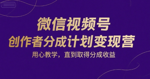 微信视频号创作者分成计划变现营，用心教学，直到取得分成收益-大齐资源站