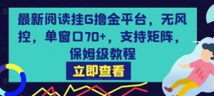 最新阅读挂G撸金平台，无风控，单窗口70+，支持矩阵，保姆级教程【揭秘】-大齐资源站