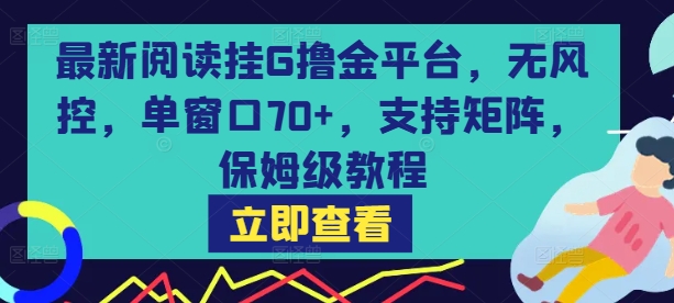 最新阅读挂G撸金平台，无风控，单窗口70+，支持矩阵，保姆级教程【揭秘】-大齐资源站