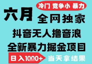 2025年6月高爆抖音无人直播最新撸音浪掘金项目,无脑日入1k+,低门槛小白可做,可矩阵放大【揭秘】-大齐资源站