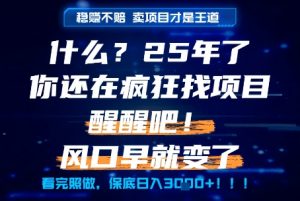 什么?25年你还在疯狂找项目做,醒醒吧,看完这些你全都懂了!【揭秘】-大齐资源站