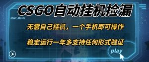 游戏自动挂G捡漏，一个手机即可操作，当天可操作见到结果，新手小白轻松月入1W+【揭秘】-大齐资源站