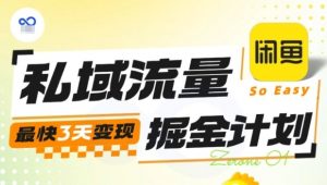 私域流量掘金计划实战训练营,最快3天变现-大齐资源站