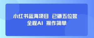 小红书蓝海项目，全程AI，操作简单，已挣五位数-大齐资源站
