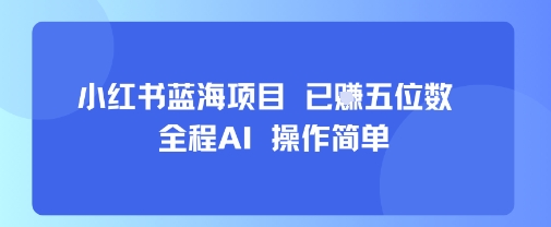 小红书蓝海项目，全程AI，操作简单，已挣五位数-大齐资源站