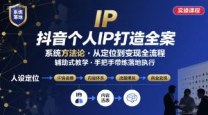 抖音个人IP系统落地实操大课,实操课程,辅助落地-大齐资源站