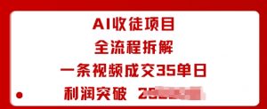 AI收徒项目全流程拆解一条视频成交35单日利润突破1k+-大齐资源站