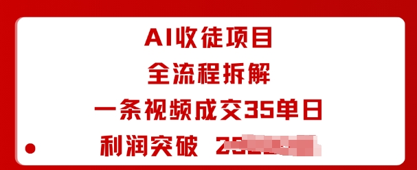 AI收徒项目全流程拆解一条视频成交35单日利润突破1k+-大齐资源站