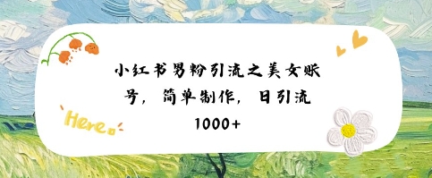 小红书男粉引流项目之美女账号6，简单制作，条条爆款原创，不违规-大齐资源站