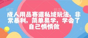 成人用品赛道私域玩法,非常暴利,简单易学,学会了自己悄悄做-大齐资源站