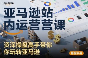 亚马逊站内运营课：资深操盘高手带你玩转亚马逊-大齐资源站