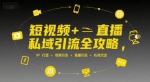 短视频+直播私域引流全攻略,IP打造 +视频引流 +直播引流 +私域沉淀-大齐资源站