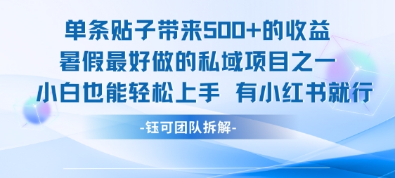 单条贴子带来5张的收益，暑假最好做的私域项目之一，小白也能轻松上手，有小红书就行-大齐资源站