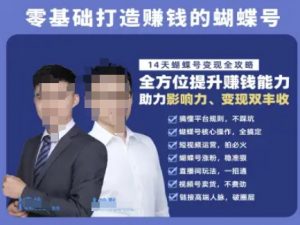 蝴蝶号专栏-视频号运营教程,零基础打造挣钱的蝴蝶号,14天蝴蝶号变现全攻略-大齐资源站