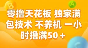 零撸天花板，独家满包技术，不用养机，一小时撸满50+，收益稳定【揭秘】-大齐资源站