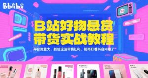 B站好物悬赏带货实战教程，平台流量大，抓住这波带货红利，别再盯着抖音内卷了-大齐资源站