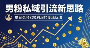 男粉私域引流新思路，单日稳收8张利润的变现玩法-大齐资源站