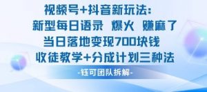 视频号加抖音新玩法：爆火新型每日语录，收徒教学加分成计划，三种变现玩法，当日变现7张-大齐资源站