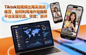 Tiktok短视频出海实战训练营,如何利用海外短视频平台实现引流、带货、测评-大齐资源站