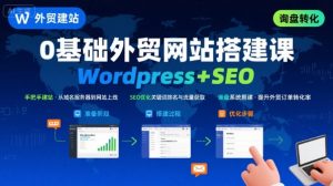 WordPress外贸建站+SEO优化课程,手把手教你从0到1搭建可获得询盘的外贸网站-大齐资源站