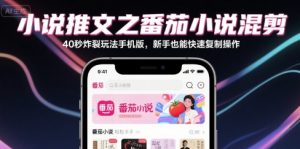 小说推文之番茄小说混剪40秒炸裂玩法手机版，新手也能快速复制操作-大齐资源站