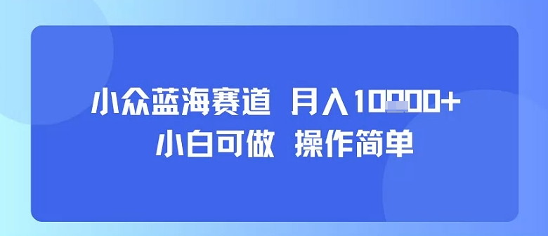 小众蓝海赛道，小白可做，操作简单，每天30分钟，月入1W+-大齐资源站