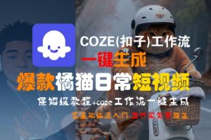 COZE(扣子)工作流一键生成爆款橘猫日常短视频，保姆级教程，零基础快速入门-大齐资源站