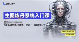 LibLibAI哩布哩布生图炼丹系统入门课，从生图到炼丹，只学这一门就够了-大齐资源站