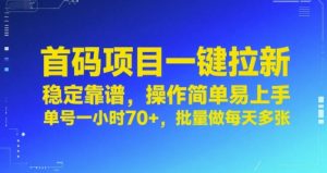 首码项目一键拉新，稳定靠谱，操作简单易上手，单号一小时70+，批量做每天多张【揭秘】-大齐资源站