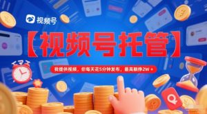 【视频号托管 】我提供视频，你每天花5分钟发布，最高躺挣2W+【揭秘】-大齐资源站