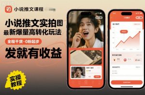 小说推文实拍双图文最新爆量高转化玩法，全程干货，0粉起步，发就有收益-大齐资源站