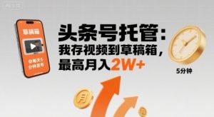 【头条号托管 】我存视频到草稿箱,你每天5分钟发布,最高月入2W+【揭秘】-大齐资源站