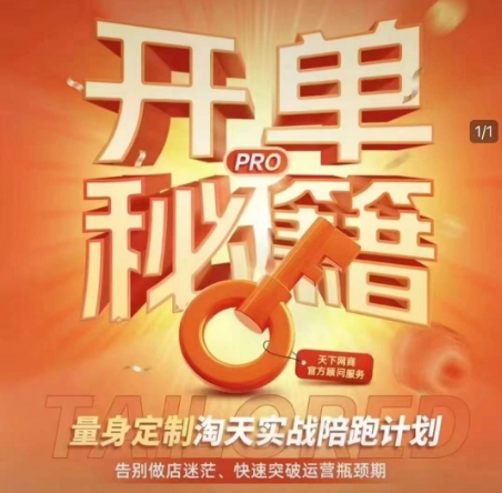 淘宝开单秘籍PRO，量身定制淘天实战陪跑计划，告别做店迷茫、快速突破运营瓶颈期（更新6月）-大齐资源站