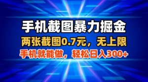 手机截图暴力掘金，两张截图0.7米，一部手机就能做，轻松日入3张+【揭秘】-大齐资源站