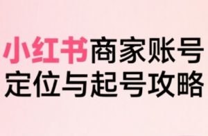 小红书电商全链路实战从定位到爆单，系统拆解小红书商家起号全流程-大齐资源站