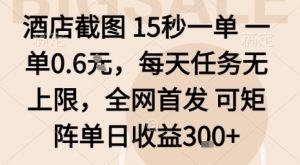 酒店截图15秒一单,一单0.6米,每天任务无上限,全网首发可矩阵单日收益3张【揭秘】-大齐资源站