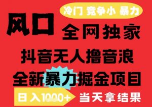 25年6月高爆抖音无人直播最新撸音浪掘金项目，解放双手小白可做，无脑日入1k+，门槛低【揭秘】-大齐资源站
